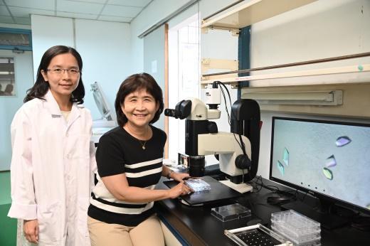 
Prof. Sun Yuh-ju of the Institute of Bioinformatics and Structural Biology showing team member Tsai Chiayin how to grow a crystal.