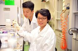 Hung’s research team has established the only natural DNA material processing platform in Taiwan.
