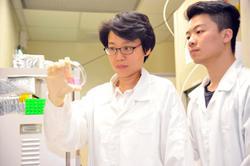 In the future DNA extracted from fish will also be used in the manufacture of optoelectronic components.
