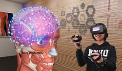 
Anatomy students wear a VR headset and use the joystick to view the details of the entire human body from various angles.