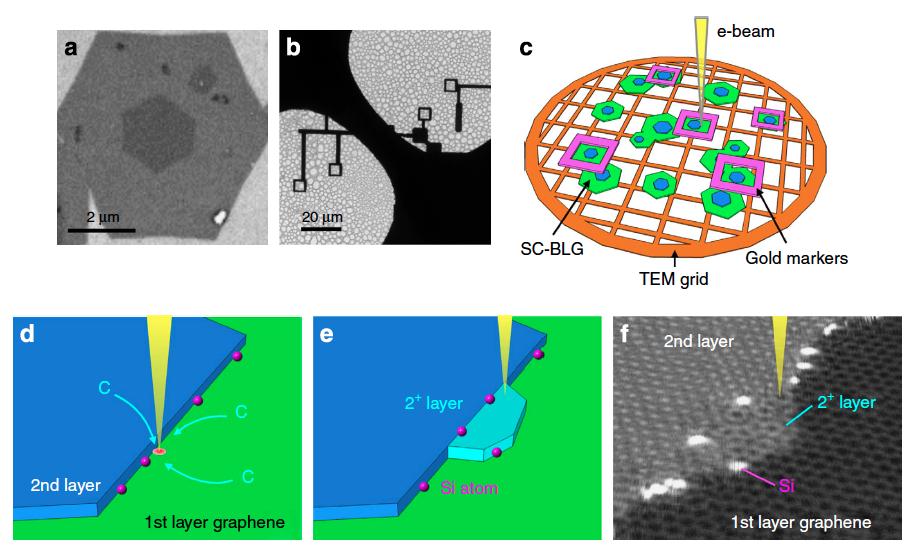 Figure 2. (a) Scanning electron microscopy image of a single-crystal bilayer graphene, (b) marked by e-beam lithography, (c) transferred to a Mo TEM grid and (d) schematic drawing of the 2nd-layer graphene step-edge. Hydrocarbon accumulates to the e-beam scanning area. (e) The new growth graphene layer (2+ layer, light blue) at the BLG step-edge. Single Si atoms (pink) located at the step-edge. (f) ADF image in a perspective view showing the e-beam-induced growth from the step-edge of the bilayer graphene where the single Si atoms (brighter contrast) existed.