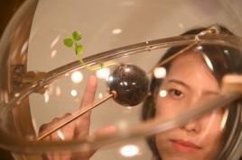 
The process is called “biosignal cybernation,” and uses phototropism to control the shape in which a plant grows.
