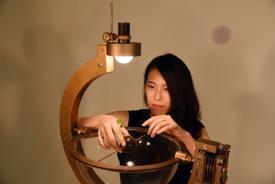 
Chou placing a pea seedling inside the device.
