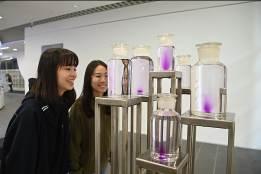 
Wonderland consists of a set of large bottles filled with a transparent toluene solution which turns purple-red whenever somebody approaches it.
