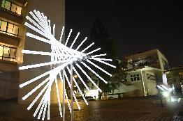 
Flower Illumination Forest is a dynamic piece of installation art demonstrating basic geometric principles.