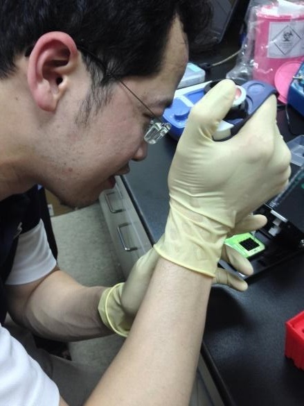 
Hsu Min-yen(許閔彥) of the Ophthalmology Department at the Chung Shan Medical University Hospital at work in the lab.