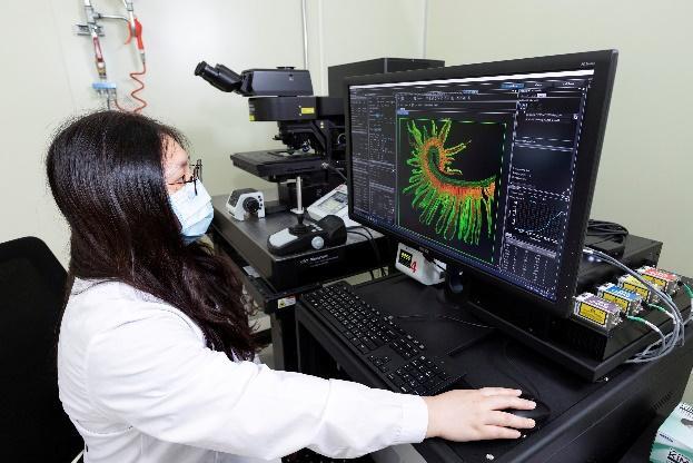 The 3D imaging system analyzing a duodenal villus sample from a mouse.
