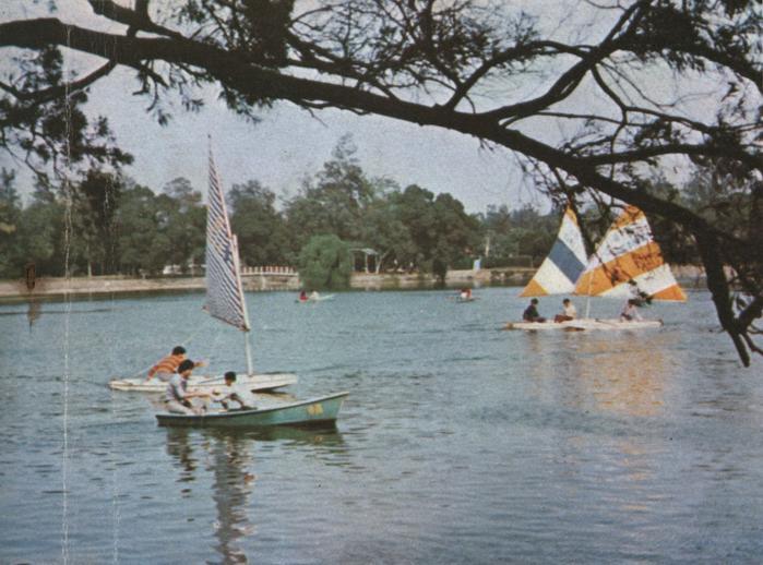 Members of the erstwhile Sailing Club on Chenggong Lake.