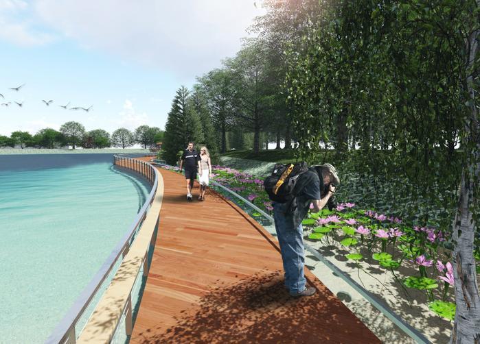Simulation of the elevated walkway and the adjacent aquatic plants.