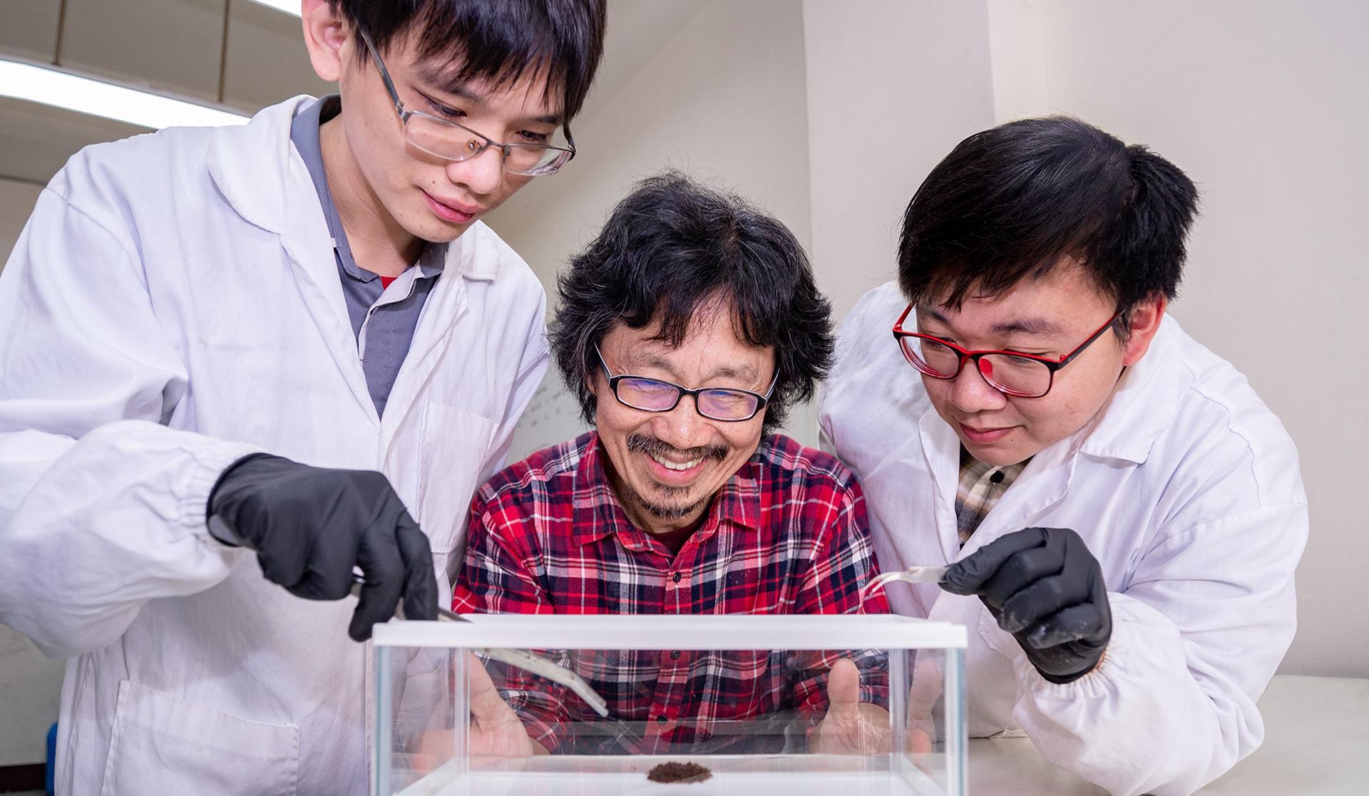 Professor Tzay-Ming Hong (洪在明) (center) from the Department of Physics at NTHU guides graduate students Chung-Hao Chen (陳中皓) (right) and Ting-Heng Hsieh (謝廷珩) (left) in researching the causes of fire ant rafting.