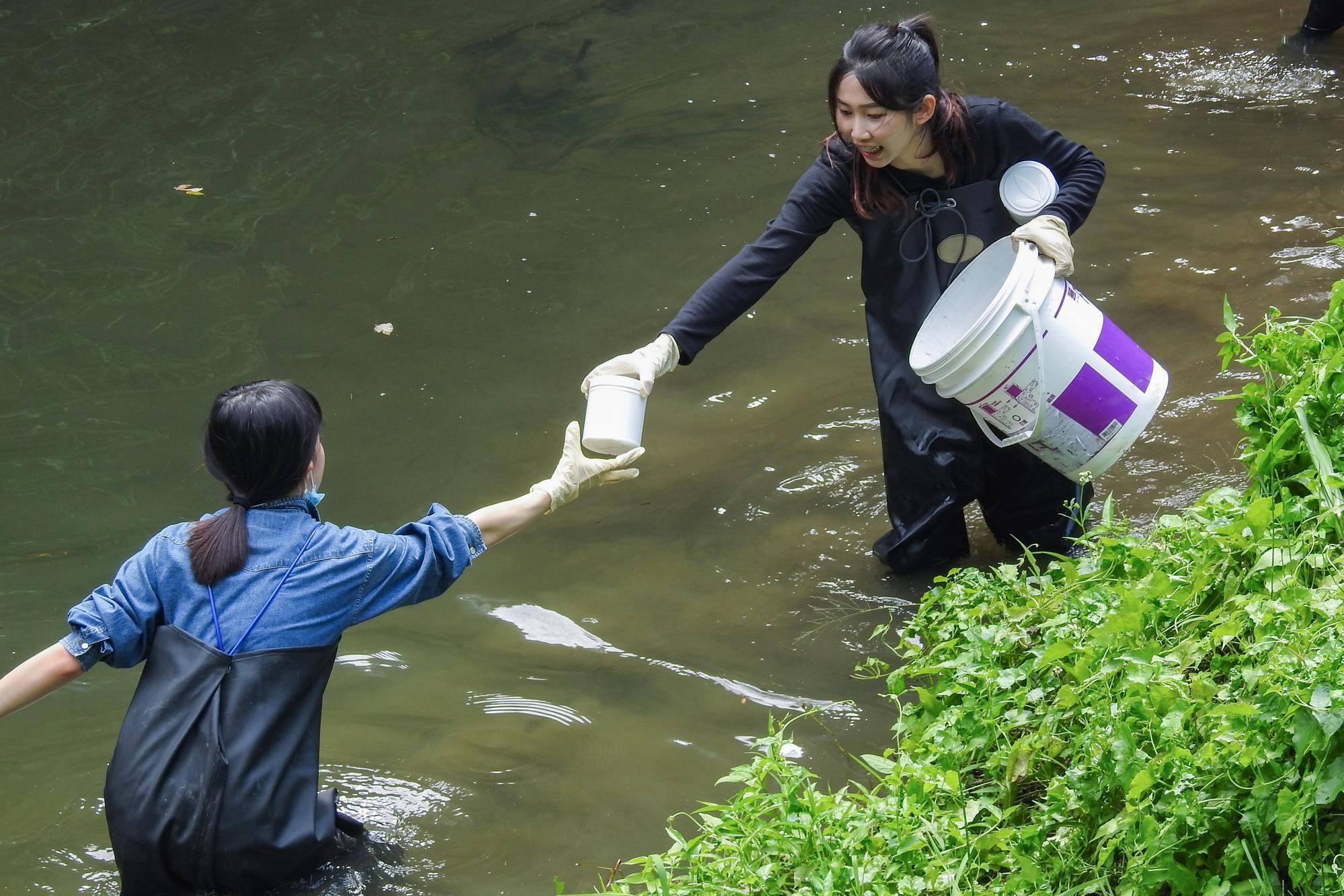 NTHU Professor Hsiu-Chuan Chou's (周秀專) team, dressed in wading gear, collected riverbed sediment samples.