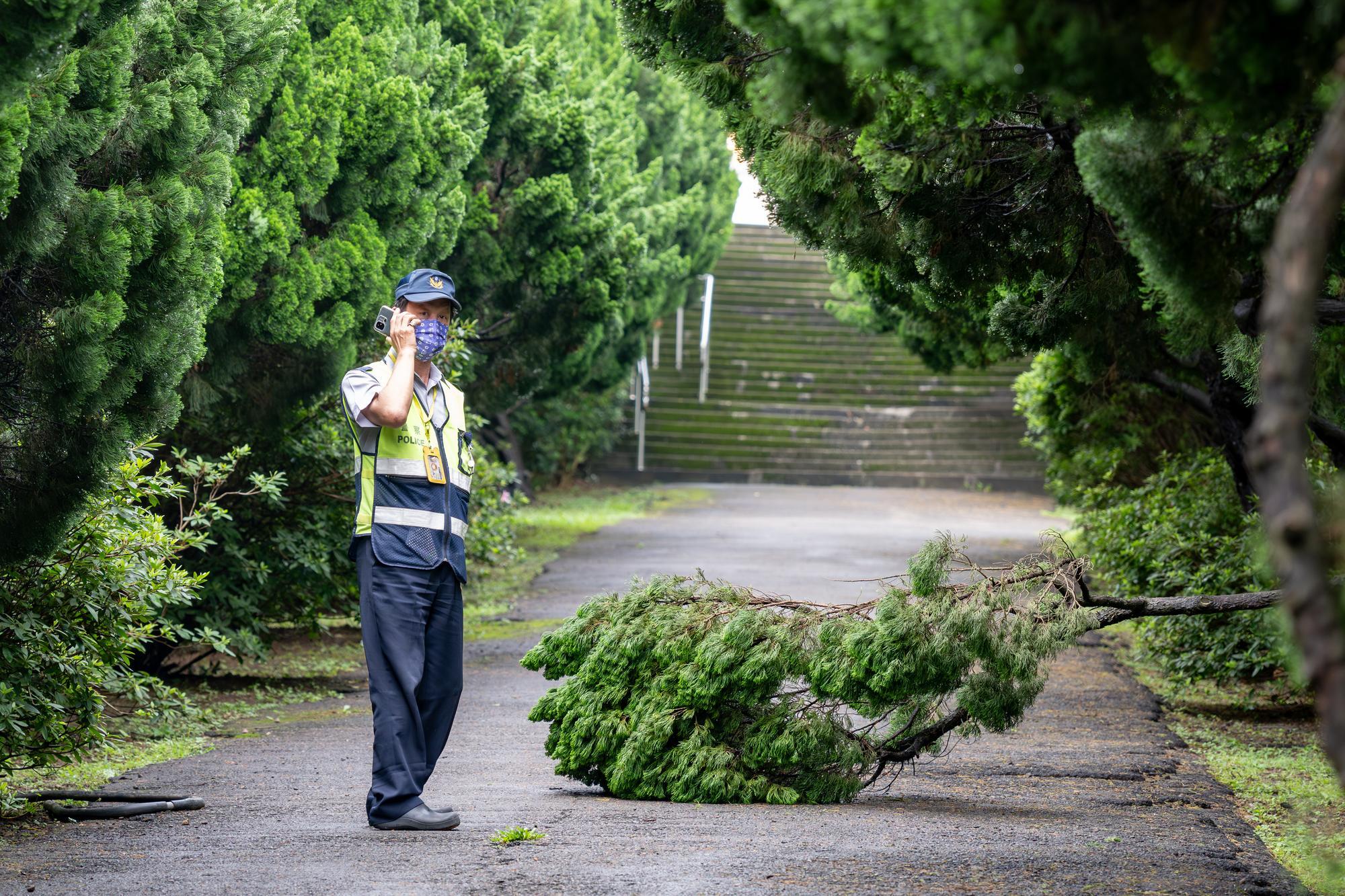 Chao-Hsu Wang (王朝旭), a security guard at NTHU, discovered a fallen tree on campus and promptly reported it to the maintenance team for handling.