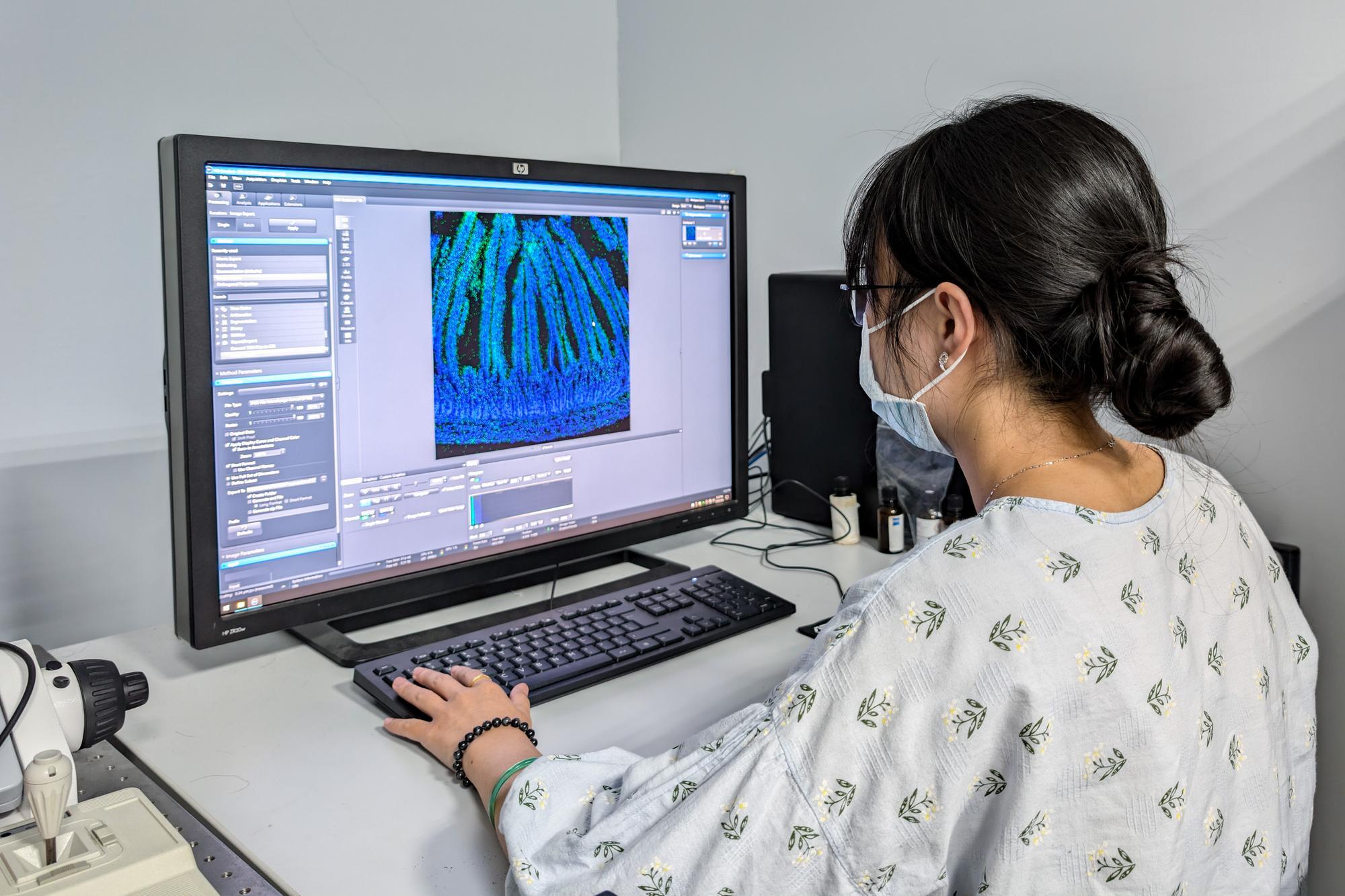 Hsing-Wen Sung of NTHU's Department of Chemical Engineering and Dr. Kun-Ru Lin of the Department of Nuclear Medicine at Chang Gung used a microscope to analyze the absorption pathways of drugs through the intestines.
