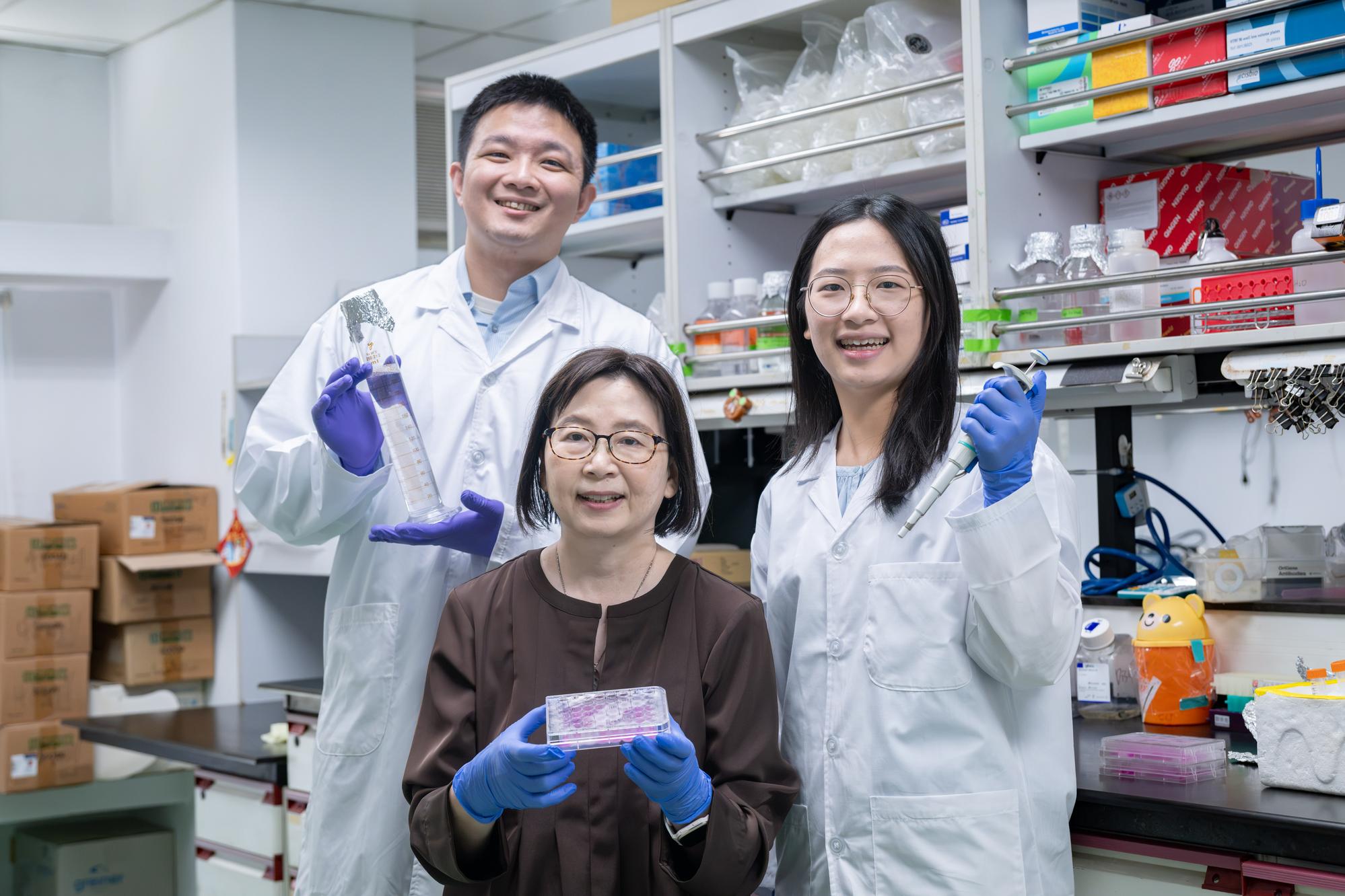 Professor Linyi Chen (center) and doctoral students Yi Wang (left) and Wen-Ling Liao (right) confirmed isorhoifolin's neural repair effects and identified its two mechanisms of action.