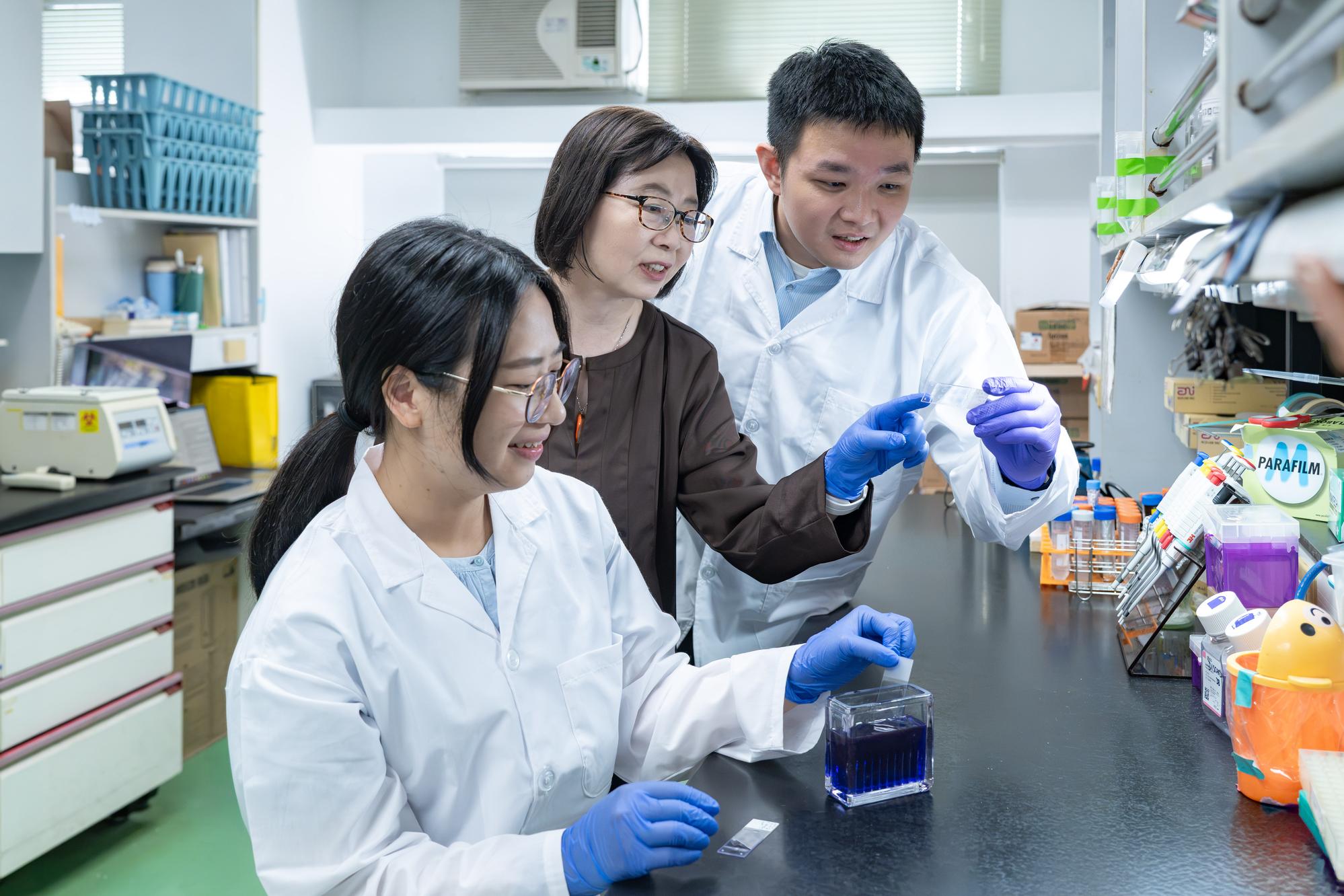 Professor Linyi Chen (center), with doctoral students Yi Wang (right) and Wen-Ling Liao (left), investigated isorhoifolin's neural repair effects and its dual mechanisms of action.