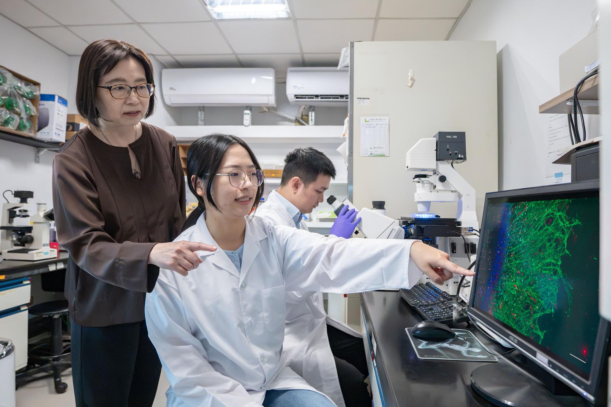 Professor Linyi Chen (left) reviews microscopy images with doctoral students Wen-Ling Liao (center) and Yi Wang (back).