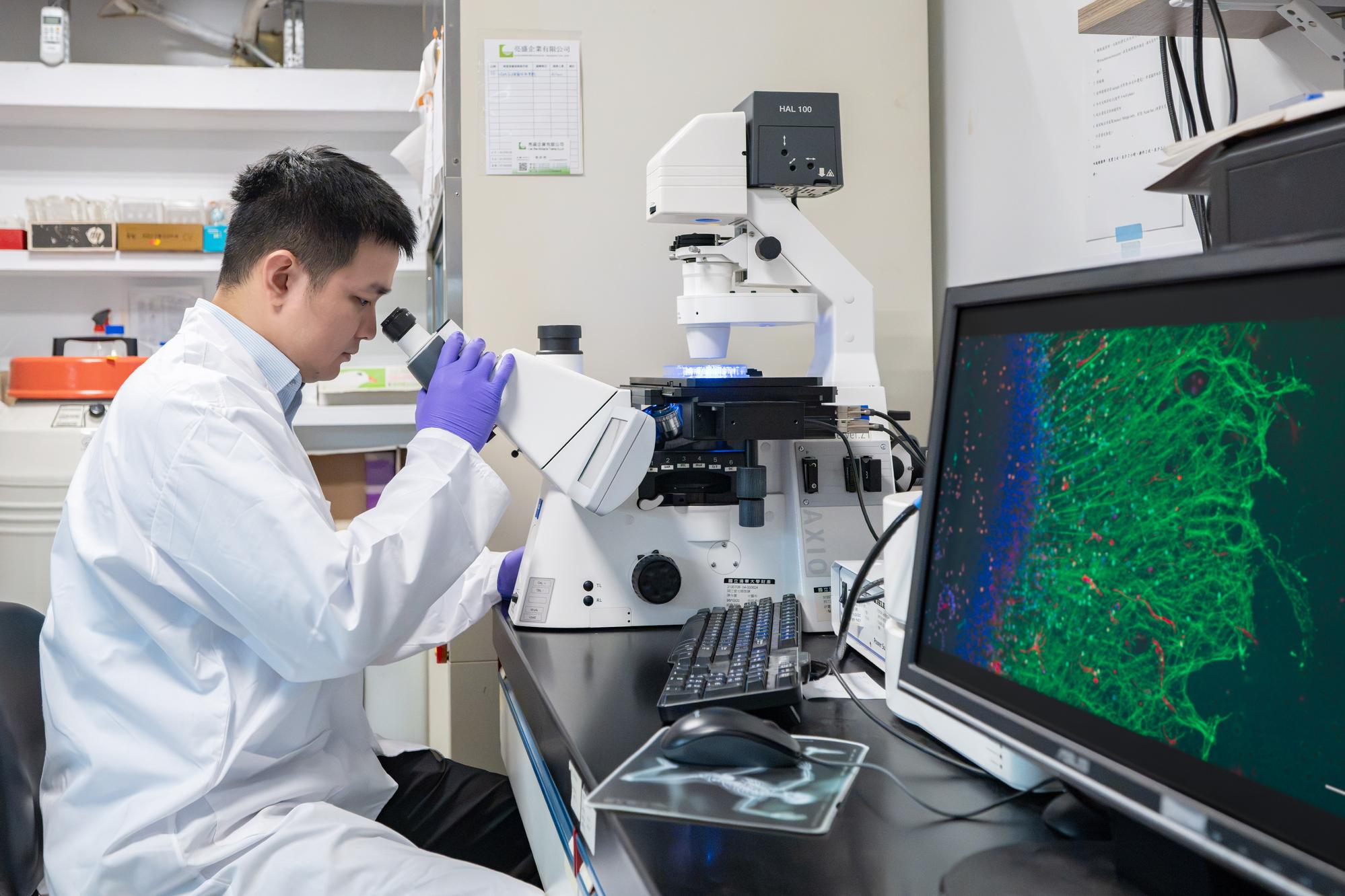 First author Yi Wang, a doctoral student at NTHU's Institute of Molecular Medicine, investigated isorhoifolin's neural repair effects and helped identify S1PR3 and NQO2 as two molecular targets.