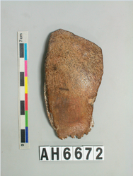  Skull fossil of Tso-chen Man recently determined to be around 3,000 years old.