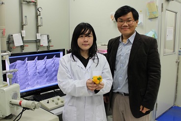 A research team led by Professor Wei Zung‐Hang of the Department of Power Mechanical Engineering has recently used magnetic technology and a microstructure mold to develop a material with a micro/nano superhydrophobicity structure. Using images of leaves produced with an electron microscope, the research team developed an innovative way of using ferrofluid as a mold for producing conical microstructures of various angles similar to those observed in leaves.