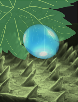This innovative research project is featured on the cover of the latest issue of Advanced Functional Materials.