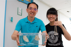 Professor Chuan-chin Chiao and his research assistant Tsang-yi Yang.