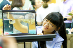 Tsang-yi Yang giving her cuttlefish a math quiz.