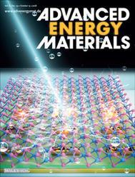 

A research team led by Prof. Yen Ta-jen of the Department of Materials Science and Engineering has recently had its work published in Advanced Energy Materials.
